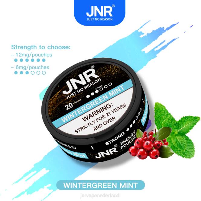 jnr energiezakjes wintergroene munt - JNR vape nicotine 0HX8R106