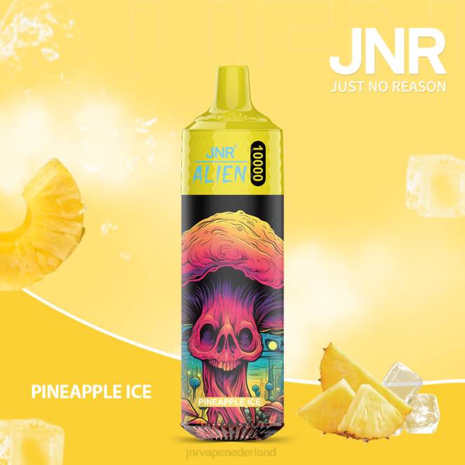 jnr buitenaards wezen ananas ijs - JNR vapes factory 0HX8R147
