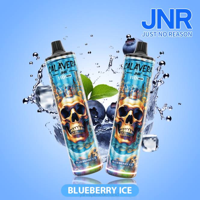 jnr calavera bosbessen ijs - JNR vape amsterdam 0HX8R292