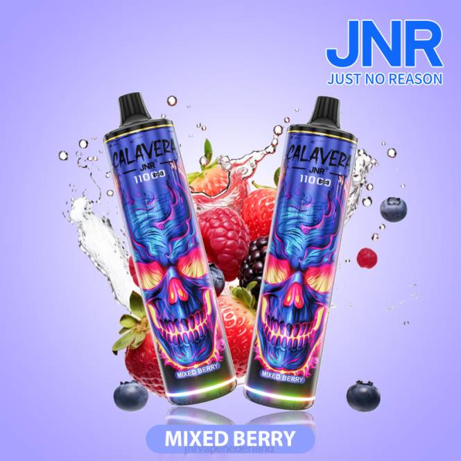 jnr calavera gemixte bessen - JNR vape pods 0HX8R310
