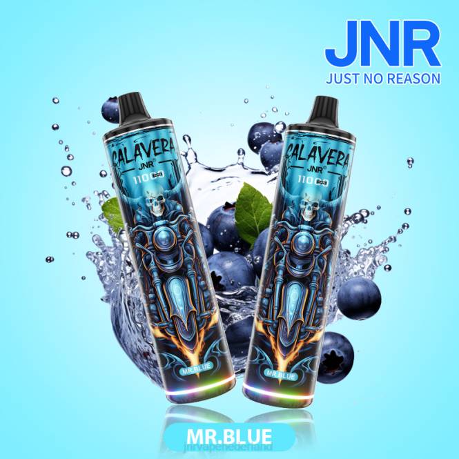 jnr calavera meneer blauw - JNR vape Nederland 0HX8R303