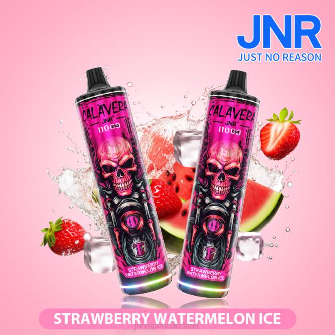 jnr calavera watermeloen kauwgom - JNR vape nicotine 0HX8R306