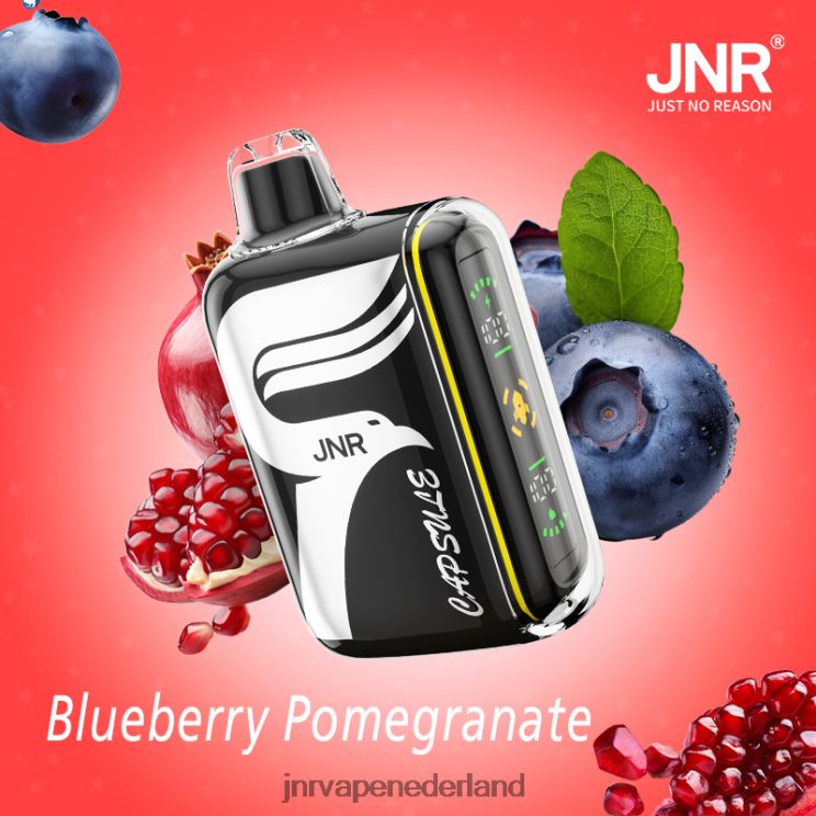 JNR capsule bosbessen-granaatappel - JNR vape Amsterdam 8B48X59