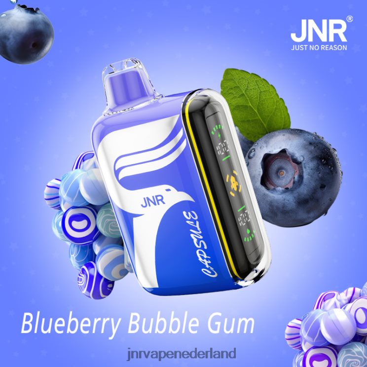 JNR capsule bosbessen-kauwgom - JNR vape pods 8B48X58