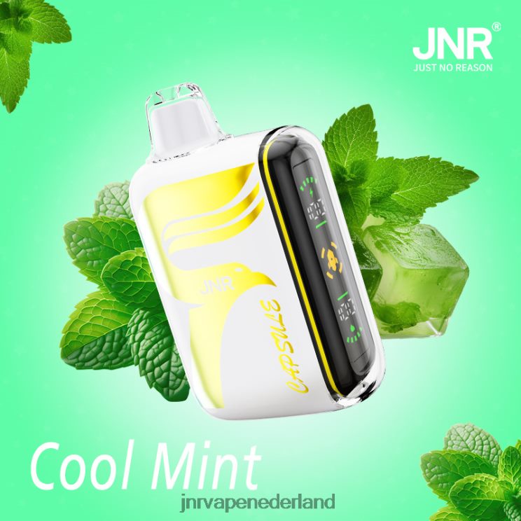 JNR capsule frisse munt - JNR vapes website 8B48X62