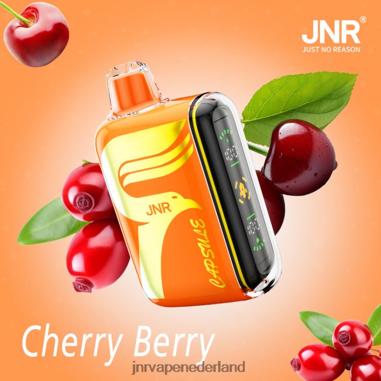 JNR capsule kersbes - JNR vape Nederland 8B48X61