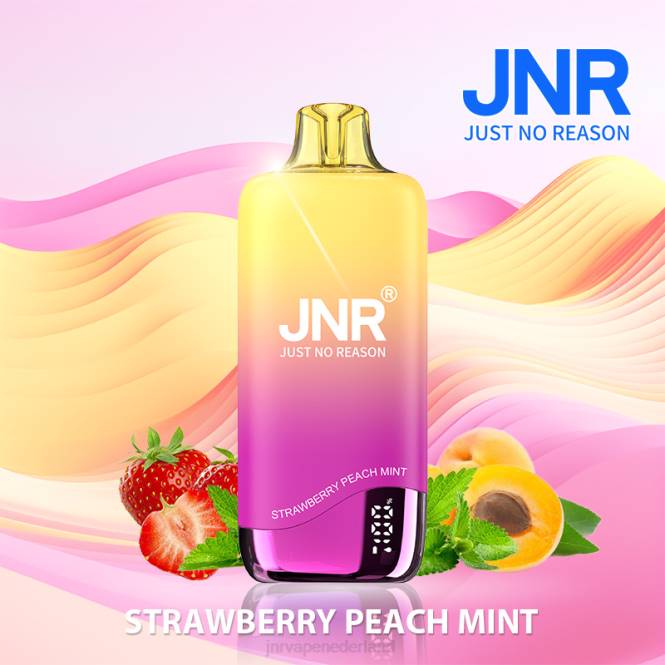 jnr regenboog aardbei perzik munt - JNR vapes factory 0HX8R267