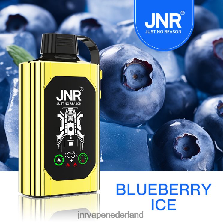 JNR SHISHA doos bosbessen ijs - JNR vapes factory 8B48X75