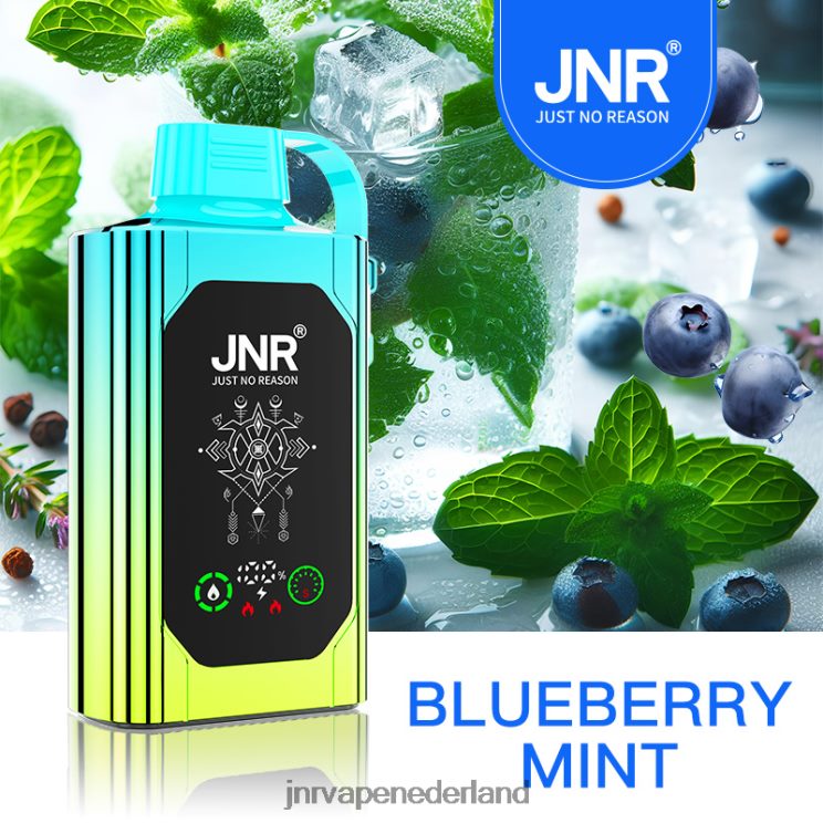 JNR SHISHA doos bosbessen munt - JNR vape pods 8B48X88