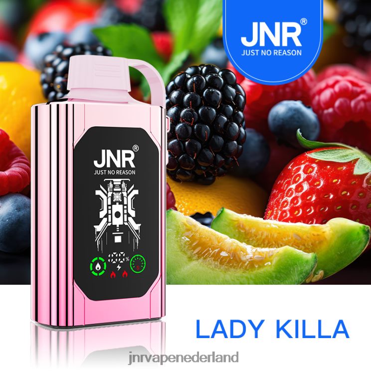 JNR SHISHA doos dame killa - JNR vape shop 8B48X76