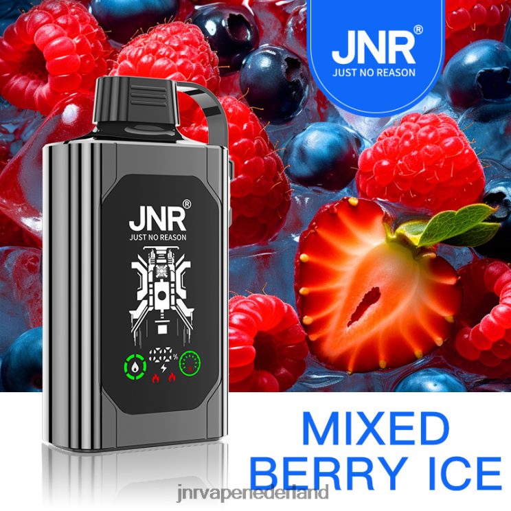 JNR SHISHA doos gemengd bessenijs - JNR vape pods 8B48X78