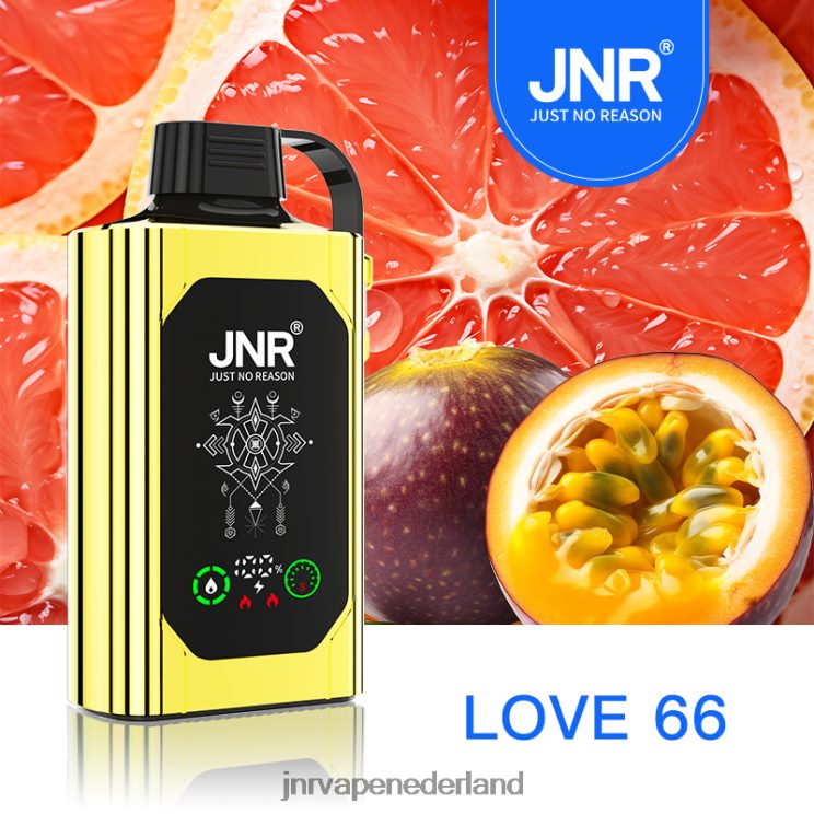 JNR SHISHA doos liefde 66 - JNR vapes factory 8B48X85