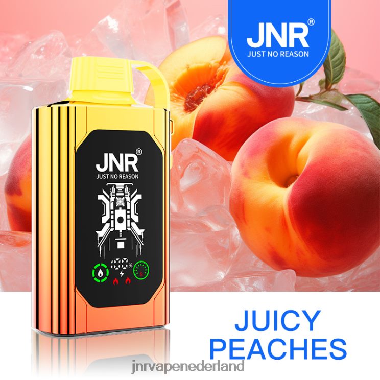 JNR SHISHA doos sappige perziken - JNR vape review 8B48X84