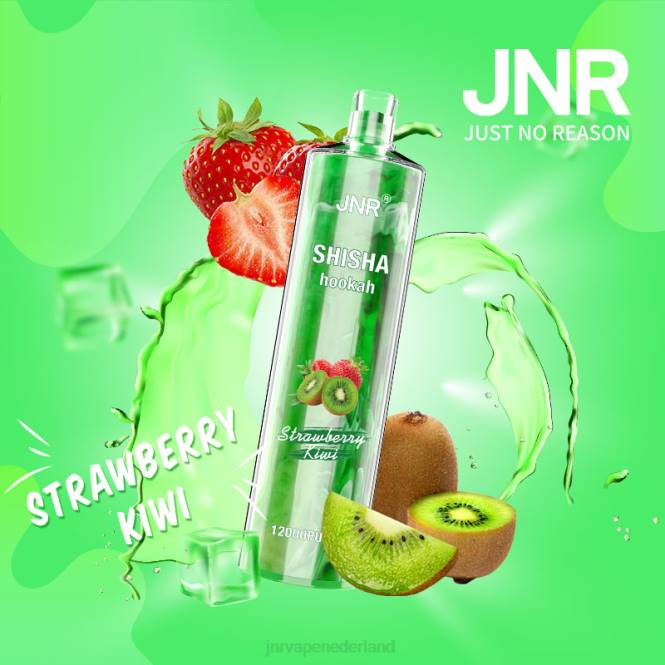 jnr shisha aardbei-kiwi - JNR vapes factory 0HX8R177
