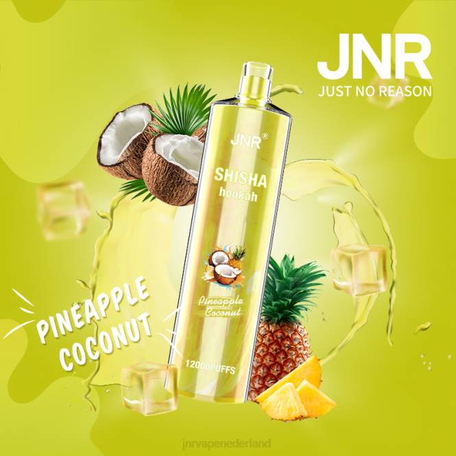 jnr shisha ananas kokosnoot - JNR vapes factory 0HX8R167
