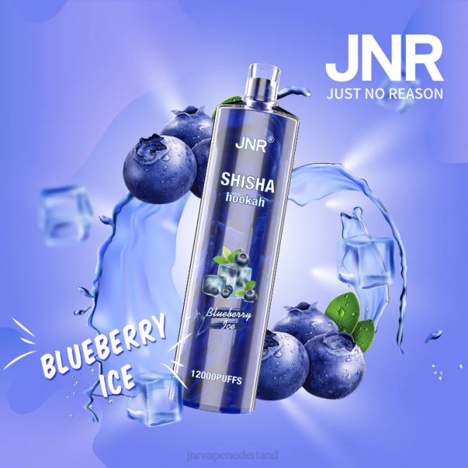 jnr shisha bosbessen ijs - JNR vapes website 0HX8R161