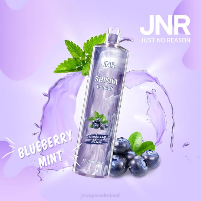 jnr shisha bosbessen munt - JNR vape amsterdam 0HX8R172