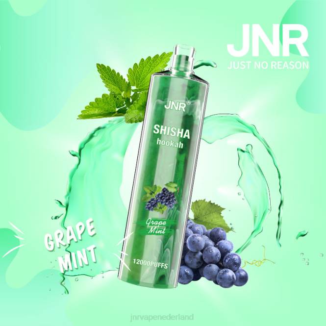 jnr shisha druiven munt - JNR vapes website 0HX8R171