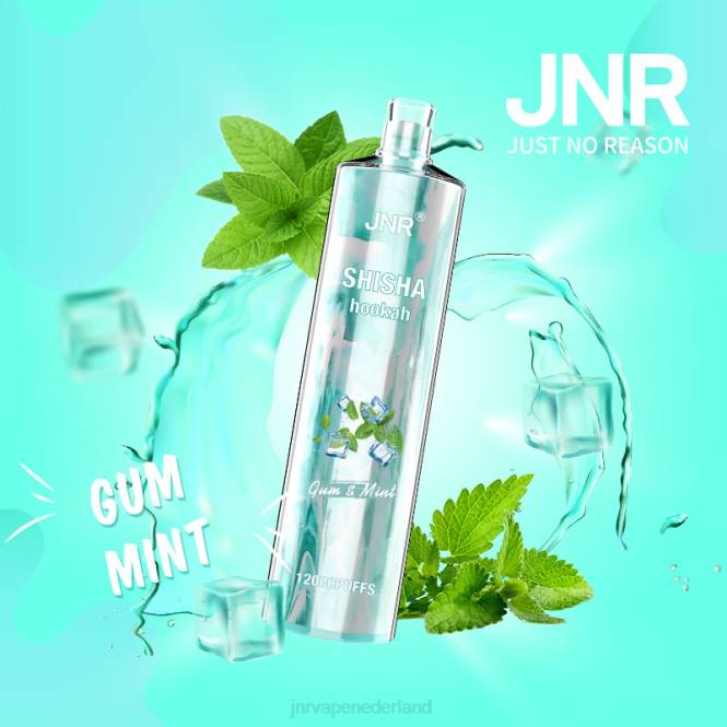 jnr shisha kauwgom en munt - JNR vape price 0HX8R164