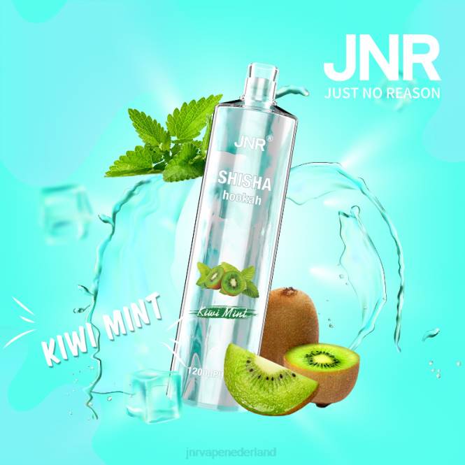 jnr shisha kiwi-munt - JNR vape flavours 0HX8R169