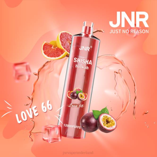 jnr shisha liefde 66 - JNR vapes website 0HX8R181