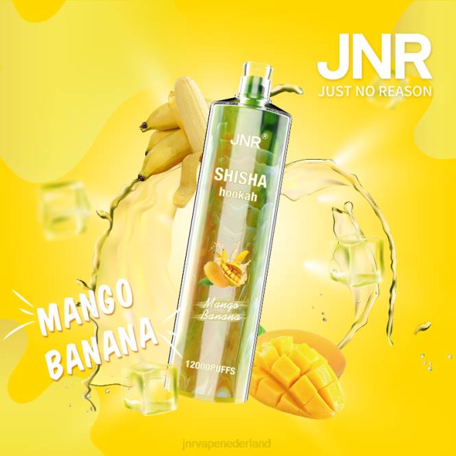 jnr shisha mango-banaan - JNR vape review 0HX8R165
