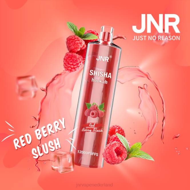 jnr shisha rode bessenslush - JNR vape shop 0HX8R168
