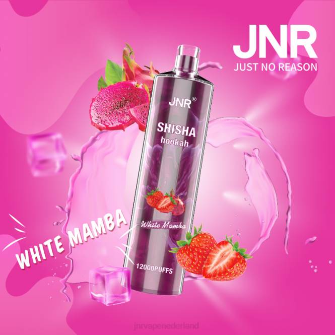 jnr shisha witte mamba - JNR vape amsterdam 0HX8R182