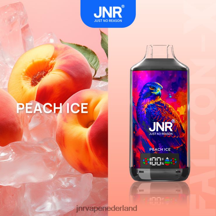 perzik ijs JNR FALCON X - JNR vapes website VF40BF13