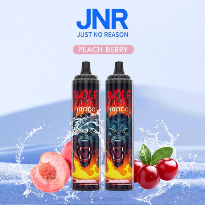 jnr wolfniplo perzik bes - JNR vape pods 0HX8R350